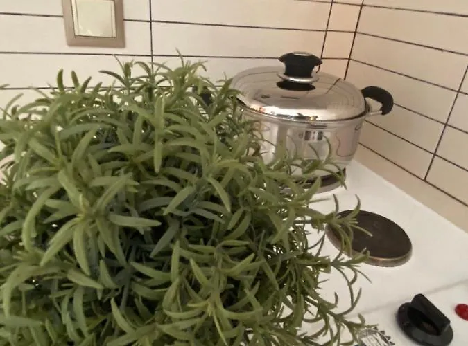 Holiday home Arxodis Naxos City